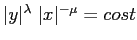 $\vert y\vert^\lambda\;\vert x\vert^{-\mu} = cost$